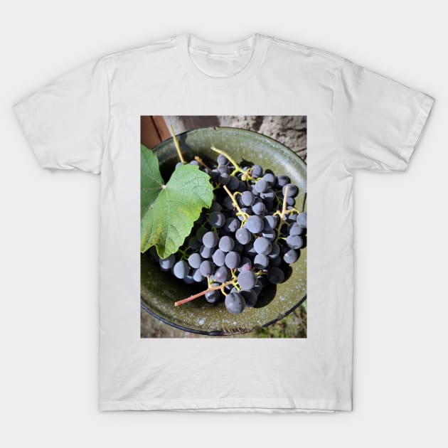 Blue grapes T-Shirt by Gourmetkater